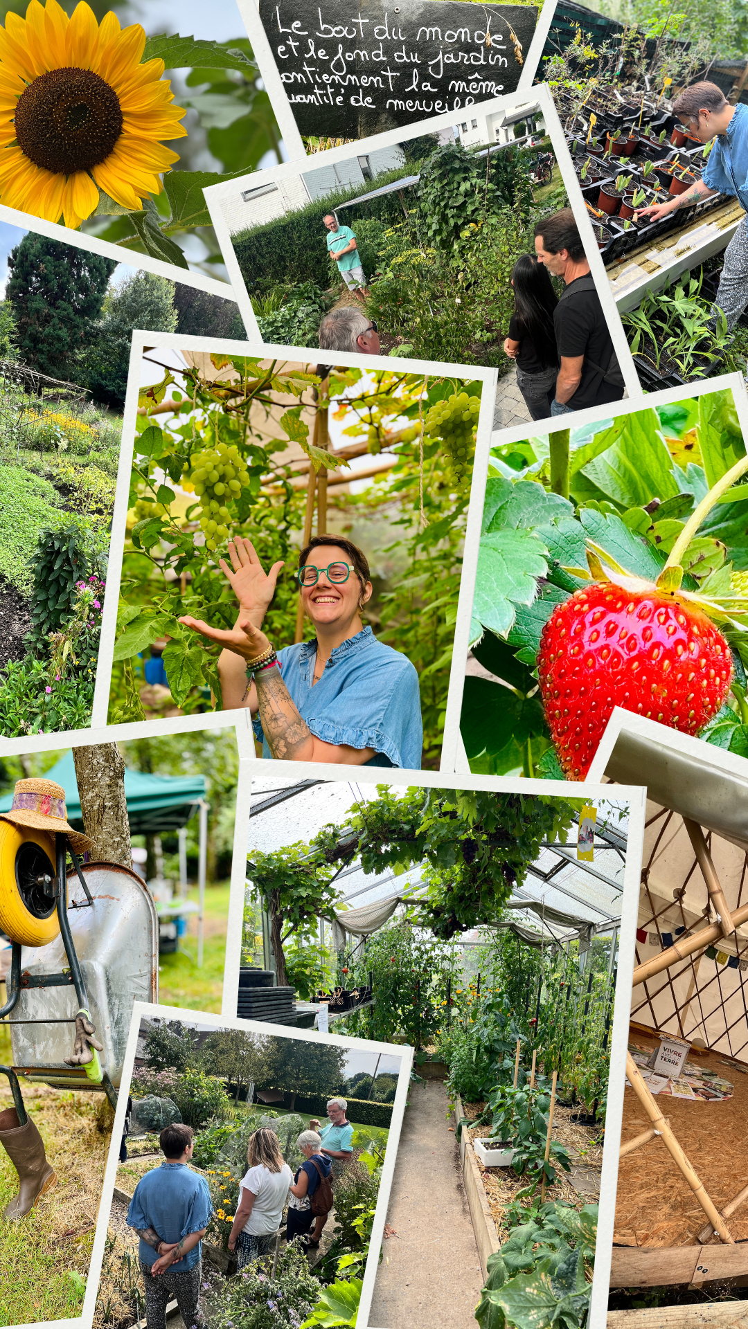 Charlotte Mouget beige black minimalist collage instagram story