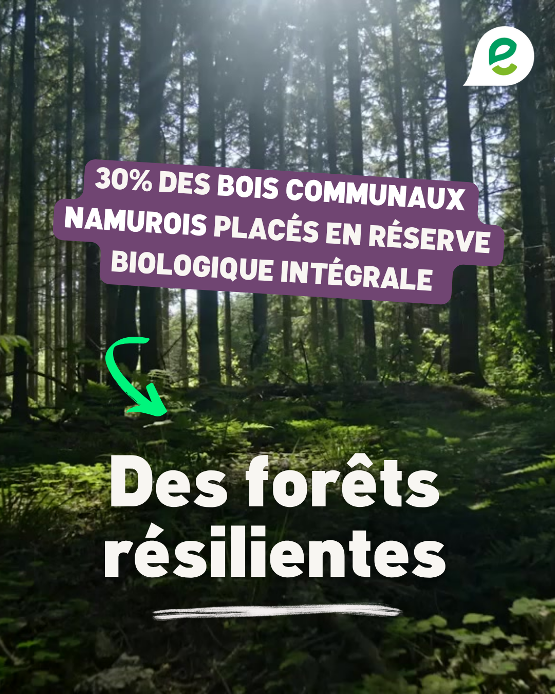 Charlotte Mouget post rs bilan(1)